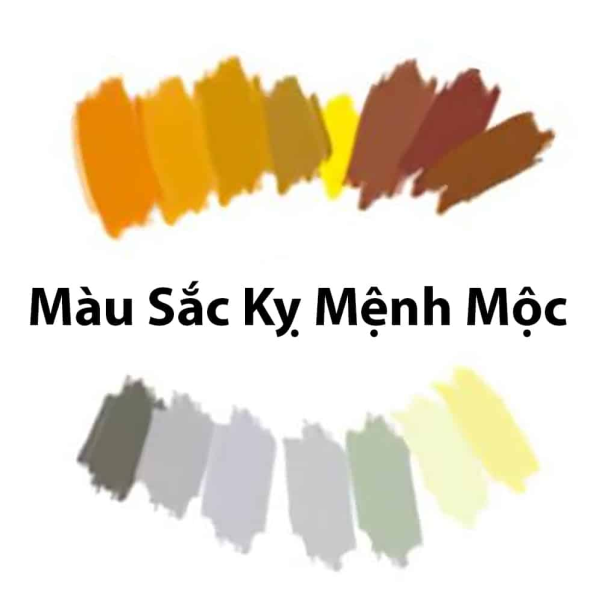 Mạng Mộc kỵ với những sắc gì?